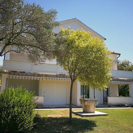 Family Friendly Apartments Island Rab Kampor Exterior photo
